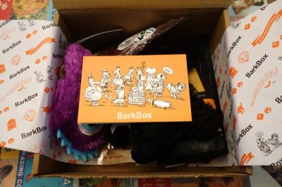 Photo of the box topped with a Halloween card that depicted pups in costume.