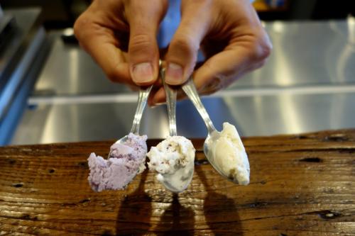 Photo of ice cream samples.